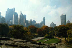 Central Park